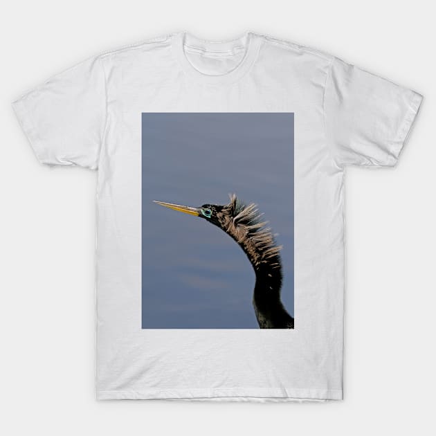 Anhinga - Florda T-Shirt by Jim Cumming